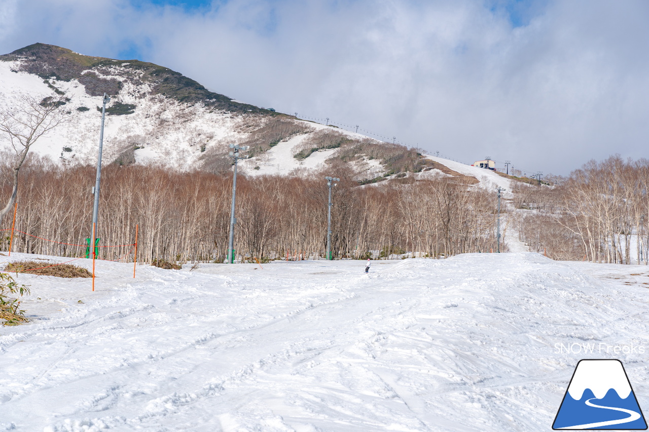 ニセコアンヌプリ国際スキー場｜さすがニセコ！山頂から山麓まで全長約4,000ｍのロング滑走可能です(^^)/